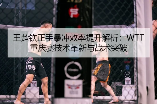 wang-chu-qin-zheng-shou-bao-chong-xiao-lv-ti-sheng-jie-xi-chong-qing-sai-ji-shu-ge-xin-yu-zhan-shu-tu-po-2-799.jpg