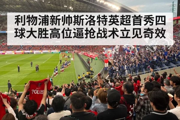 football stadium fans