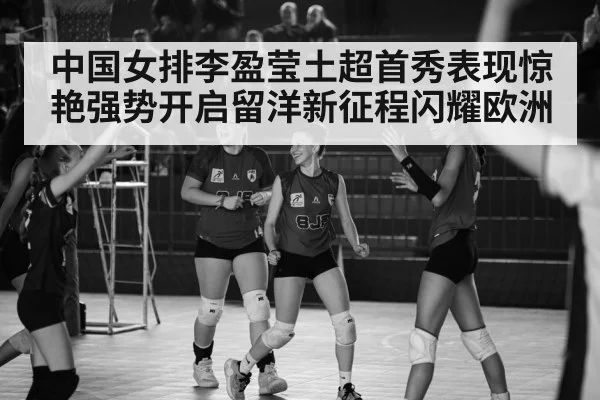 Turkish volleyball league match